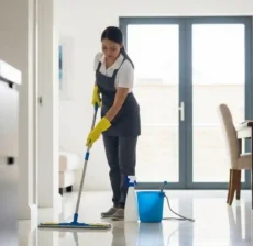 Professional Cleaning