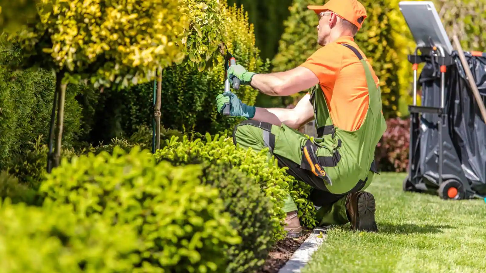 Grounds & Landscaping Maintenance (1)